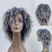 Fallsea Gray Braided Kinky Curly Synthetic Afro Short Wig for Black Women