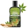 ABERA HighPerformance AntiDandruff Shampoo Herbal Formula with Langbian Ginseng Extract Sulfate Paraben Free Deep Cleansing Fights Itchy Scalp Scalp Fungus 507 Fl Oz