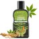ABERA HighPerformance AntiDandruff Shampoo Herbal Formula with Langbian Ginseng Extract Sulfate Paraben Free Deep Cleansing Fights Itchy Scalp Scalp Fungus 507 Fl Oz