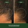 VERB Density Peptide Shampoo 12 fl oz Visibly Thicken Reduce Signs of Shedding No Parabens or Harmful Sulfates