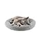 LESYPET Cat Bed for Indoor Cats Small Pet Bed Curl Sleep Cushion with Raised Pillow Around NonSlip Bottom Washable Pet Beds Mat for Small Pets Rabbit Hamsters Round Diameter 157