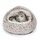 CATISM Cat Bed Plush Hooded Cat Beds for Indoor Cats Self Warming Cats Beds Cave Cozy Pod for Indoor Kitten or Small Dog Removable Washable with NonSlip Bottom