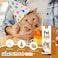 Zerbuger 23in Cream Round Cat Dog Bed Gift for Large Medium Small Dogs Cats Machine Washable Sleeping Sofa NonSlip Bottom Breathable Soft Calming Pet Cuddler for IndoorOutdoorCarCage