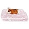 Amakunft 2 Pcs Guinea Pig Bed Mat Washable Rabbit Winter Bed Pad for Indoor Warm Small Animal Bed Mattres Fleece Sleeping Pad for Bunny Rat Hedgehog Sugar Glider Chinchilla