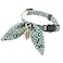 PetSoKoo Bunny Ears Cat Collar Japan Lucky Charm Safety Breakaway Bowtie Kitten Collar with Bell Light Blue