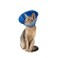 Calm Paws Behavior Support Calm Paws Cat Caring Collar WCalming