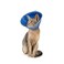 Calm Paws Behavior Support Calm Paws Cat Caring Collar WCalming
