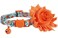 BoomBone Girl Cat Collar with Removable Flower and Bell Breakaway Floral Kitten Collar