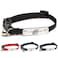 Pawsonify Naruto Breakaway Cat Collars for Girl Boy Cats Officially Licensed Naruto Shippuden Hidden Leaf Village Pet Accessories Gifts 85 to12 Adjustable Cute Kitten Collar with Bell Black Rogue