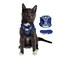 The Fat Cat Travel Cat Harness and Leash Set Adjustable Fit Mesh Cat Harness and Reflective Strap Comfort Walking Vest for Kitten for Outdoor Walking Hiking Small Groovy