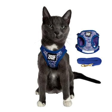 The Fat Cat Travel Cat Harness and Leash Set Adjustable Fit Mesh Cat Harness and Reflective Strap Comfort Walking Vest for Kitten for Outdoor Walking Hiking Large Groovy