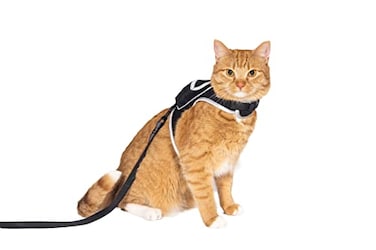 Your Cat Backpack Travel Cat Stray Cat Harness and Leash Set Adjustable Velcro Mesh Cat Harness and Strong Nylon Leash Kit Comfort Escape Proof Harness for Cats Kitten for Outdoor WalkingHiking Medium