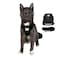 The Fat Cat Travel Cat Harness and Leash Set Adjustable Fit Mesh Cat Harness and Reflective Strap Comfort Walking Vest for Kitten for Outdoor Walking Hiking Extra Small Black