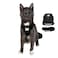 The Fat Cat Travel Cat Harness and Leash Set Adjustable Fit Mesh Cat Harness and Reflective Strap Comfort Walking Vest for Kitten for Outdoor Walking Hiking Extra Small Black