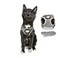 The Fat Cat Travel Cat Harness and Leash Set Adjustable Fit Mesh Cat Harness and Reflective Strap Comfort Walking Vest for Kitten for Outdoor Walking Hiking Extra Small Grey