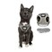 The Fat Cat Travel Cat Harness and Leash Set Adjustable Fit Mesh Cat Harness and Reflective Strap Comfort Walking Vest for Kitten for Outdoor Walking Hiking Extra Small Grey