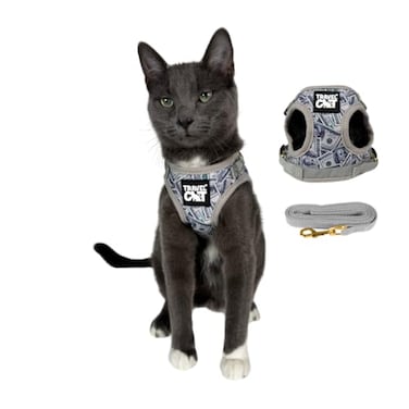 The Fat Cat Travel Cat Harness and Leash Set Adjustable Fit Mesh Cat Harness and Reflective Strap Comfort Walking Vest for Kitten for Outdoor Walking Hiking Medium Cashcat