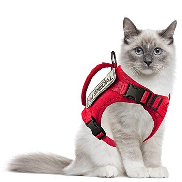AIWAI Tactical Cat Harness for Walking Escape Proof Adjustable Pet Vest Harness with Control Handle for Large Cat Small Dog Soft Mesh Gift with Patch
