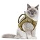 AIWAI Tactical Cat Harness for Walking Escape Proof Adjustable Pet Vest Harness with Control Handle for Large Cat Small Dog Soft Mesh Gift with Patch