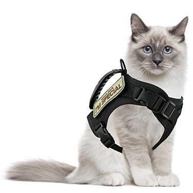 AIWAI Tactical Cat Harness for Walking Escape Proof Adjustable Pet Vest Harness Soft Mesh with Control Handle for Large Cat Small Dog Gift with Patch