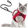 AIWAI Tactical Cat Harness for Walking Escape Proof Adjustable Pet Vest Harness with Control Handle for Large Cat Small Dog Soft Mesh Gift with Patch