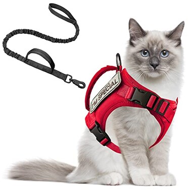 AIWAI Tactical Cat Harness for Walking Escape Proof Adjustable Pet Vest Harness with Control Handle for Large Cat Small Dog Soft Mesh Gift with Patch