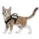 augopapa Tactical Cat Harness for Walking Escape Proof Soft Mesh Adjustable Pet Vest Harness for Large CatSmall Dog Medium Black