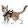 augopapa Tactical Cat Harness for Walking Escape Proof Soft Mesh Adjustable Pet Vest Harness for Large CatSmall Dog Medium Black