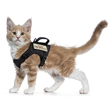 augopapa Tactical Cat Harness for Walking Escape Proof Soft Mesh Adjustable Pet Vest Harness for Large CatSmall Dog Medium Black