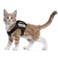 augopapa Tactical Cat Harness for Walking Escape Proof Soft Mesh Adjustable Pet Vest Harness for Large CatSmall Dog