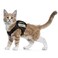 augopapa Tactical Cat Harness for Walking Escape Proof Soft Mesh Adjustable Pet Vest Harness for Large CatSmall Dog