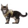 augopapa Tactical Cat Harness for Walking Escape Proof Soft Mesh Adjustable Pet Vest Harness for Large CatSmall Dog L Khaki
