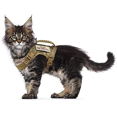 augopapa Tactical Cat Harness for Walking Escape Proof Soft Mesh Adjustable Pet Vest Harness for Large CatSmall Dog L Khaki