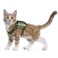 augopapa Tactical Cat Harness for Walking Escape Proof Soft Mesh Adjustable Pet Vest Harness for Large CatSmall Dog L AGreen