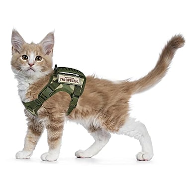 augopapa Tactical Cat Harness for Walking Escape Proof Soft Mesh Adjustable Pet Vest Harness for Large CatSmall Dog L AGreen