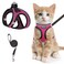 SALFSE Cat Harness and Leash for Walking Escape Proof Adjustable Kitten Vest Harness Reflective Soft Mesh Puppy Harness for Outdoor Comfort Fit Easy to Control Pink S