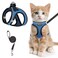 SALFSE Cat Harness and Leash for Walking Escape Proof Adjustable Kitten Vest Harness Reflective Soft Mesh Puppy Harness for Outdoor Comfort Fit Easy to Control Blue M