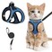 SALFSE Cat Harness and Leash for Walking Escape Proof Adjustable Kitten Vest Harness Reflective Soft Mesh Puppy Harness for Outdoor Comfort Fit Easy to Control Blue M