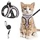 SALFSE Cat Harness and Leash for Walking Escape Proof Adjustable Kitten Vest Harness Reflective Soft Mesh Puppy Harness for Outdoor Comfort Fit Easy to Control Lpink M