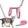 Baeuppit Cat Harness and Leash Set Gold Moons Stars Soft Nylon Escape Proof Adjustable for Kittens Small Animals Glow in The Dark Pink