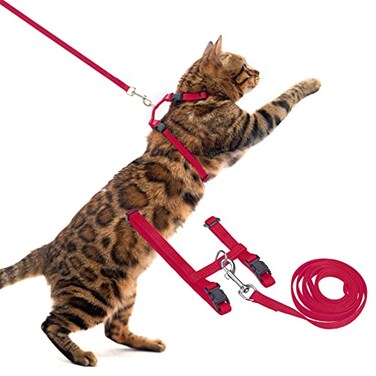 PUPTECK Adjustable Cat Harness and Leash Set Escape Proof Kitten Strap Collar for Walking Travel Red
