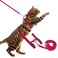 PUPTECK Adjustable Cat Harness and Leash Set Escape Proof Kitten Strap Collar for Walking Travel Red