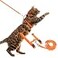 PUPTECK Adjustable Cat Harness and Leash Set Escape Proof Kitten Strap Collar for Walking Travel Orange