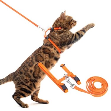 PUPTECK Adjustable Cat Harness and Leash Set Escape Proof Kitten Strap Collar for Walking Travel Orange