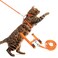 PUPTECK Adjustable Cat Harness and Leash Set Escape Proof Kitten Strap Collar for Walking Travel Orange