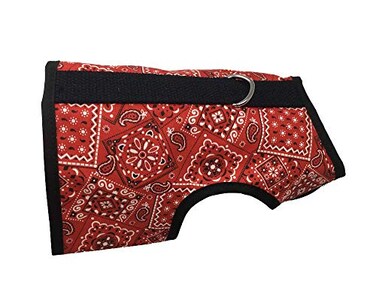 Kitty Holster Cat Harness Secure Cat Harness for Walking Soft Cotton Cat Accessories Comfortable Fit Strong HookandLoop Closure Made in USA Red Bandana XL