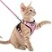 rabbitgoo Cat Harness and Leash Set Escape Proof Kitten Harness for Safe Outdoor Walks Soft Breathable Adjustable Vest with Reflective Strips for Kittens and Extra Small Cats Pink XXS