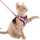 rabbitgoo Cat Harness and Leash Set Escape Proof Kitten Harness for Safe Outdoor Walks Soft Breathable Adjustable Vest with Reflective Strips for Kittens and Extra Small Cats Pink XXS