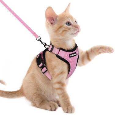 rabbitgoo Cat Harness and Leash Set Escape Proof Kitten Harness for Safe Outdoor Walks Soft Breathable Adjustable Vest with Reflective Strips for Kittens and Extra Small Cats Pink XXS