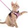 rabbitgoo Cat Harness and Leash Set Escape Proof Kitten Harness for Safe Outdoor Walks Soft Breathable Adjustable Vest with Reflective Strips for Kittens and Extra Small Cats Pink XXS